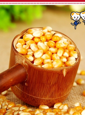 【山姆爆米花机】三合一专用玉米
