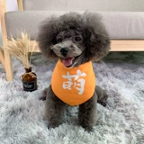 Милый слюнявчик, шарф для принцессы, наряжаться