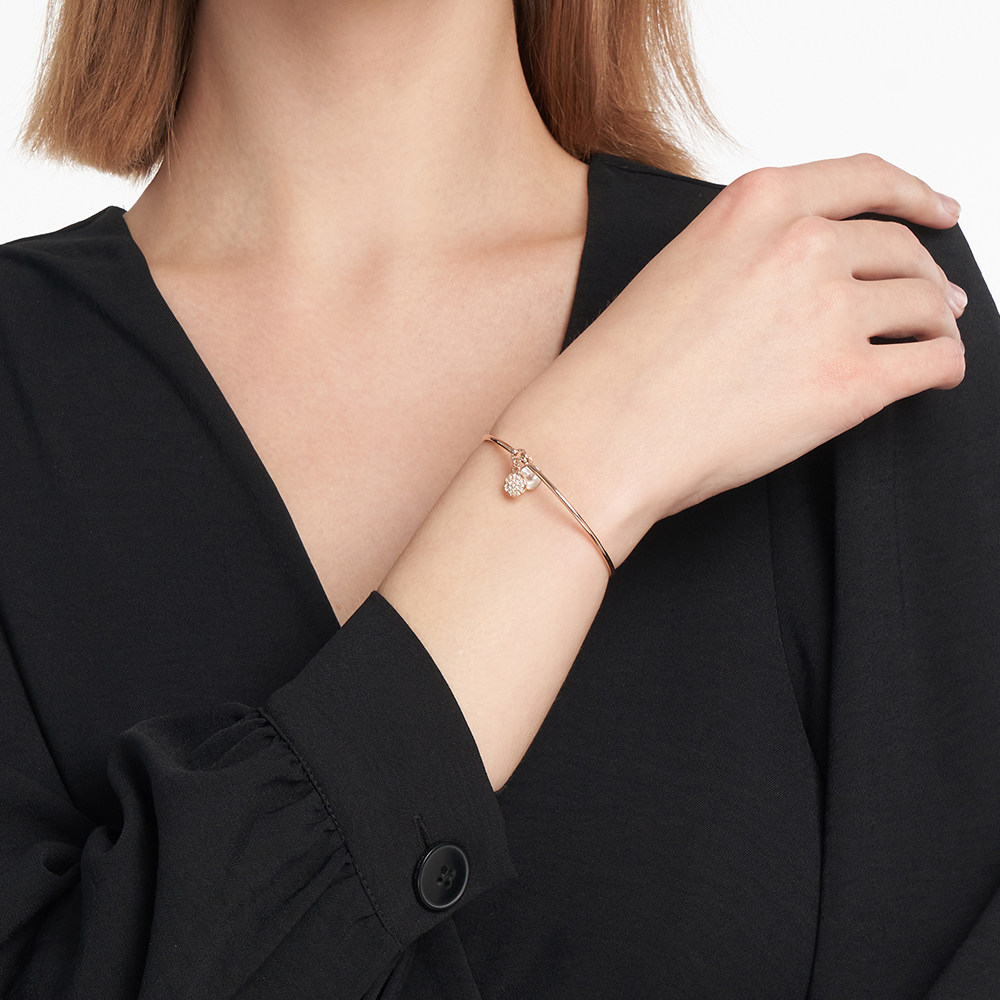 【新年礼物】armani阿玛尼双圆牌手镯 emporioarmani饰品手镯