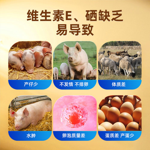 倍力生育酚兽用VE维生素E可溶粉猪牛羊鸡鸭鹅提升繁殖发情促生长 - 图0