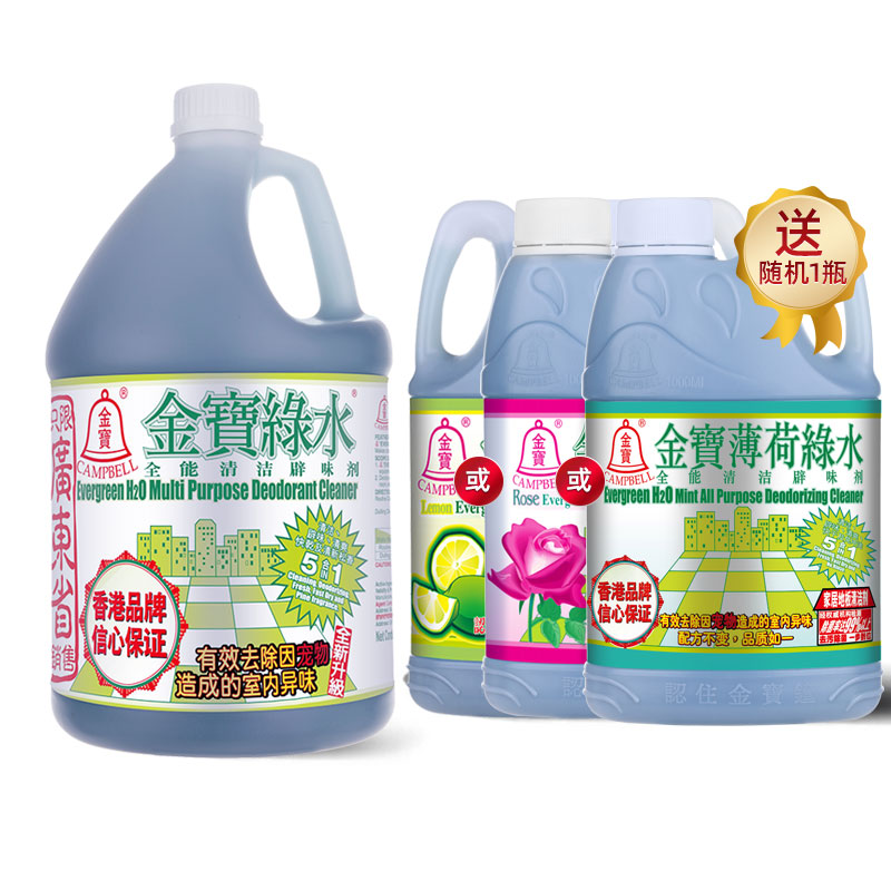 金宝绿水实惠装地板家居消毒除菌去味薄荷商用家用拖地全能清洁剂