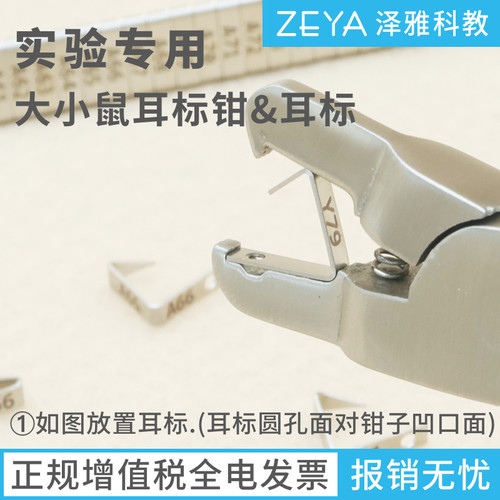 实验用 小鼠 大鼠 耳标 耳号 耳钉耳夹 单面双面 编号标记 耳标钳 - 图2