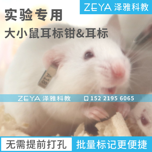 实验用 小鼠 大鼠 耳标 耳号 耳钉耳夹 单面双面 编号标记 耳标钳 - 图1