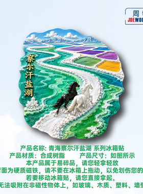 青海察尔汗盐湖黑白骏马盐田冰箱