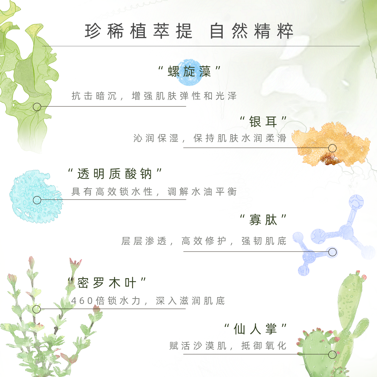 真理荟螺旋藻缓解干燥涂抹软膜粉 laveritepure涂抹面膜