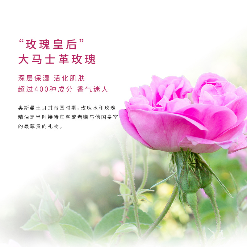 原装土耳其进口大马士革玫瑰纯露天然滋养润透补水保湿提亮 100ml 原装土耳其进口大马士革玫瑰纯露天然滋养润透补水保湿提亮 100ml
