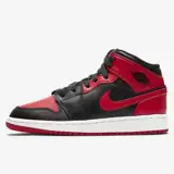 Nike, air jordan, Air Jordan 1, баскетбольная спортивная обувь, кроссовки