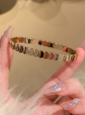 鱼鳞闪片钛钢手镯女高级感手环