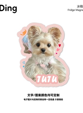 宠物冰箱贴定制猫咪狗狗照片定做滴胶周边装饰亚克力磁贴创意DIY