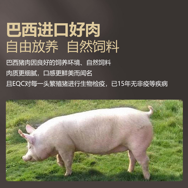 真美猪肉脯果木炭烤猪肉干潮汕零食零嘴肉铺干中华老字号可礼盒装 - 图3