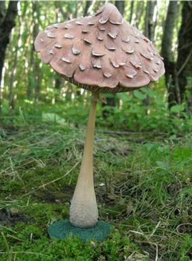 源头跨境独立站 新品蘑菇花园装品树脂饰工艺品摆件 搞怪脸蘑人菇