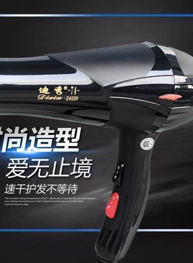 迪秀T4吹风机发廊专用大风力超强大功率电吹风家用吹风筒蓝光护发