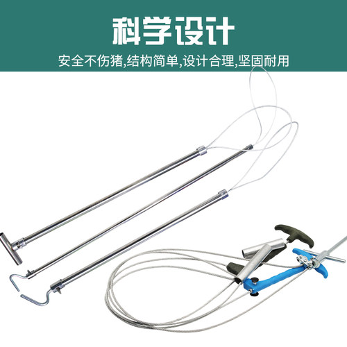 牧多多不锈钢套猪器猪用保定器套猪嘴神器母猪套索杆养殖场抓猪器 - 图1