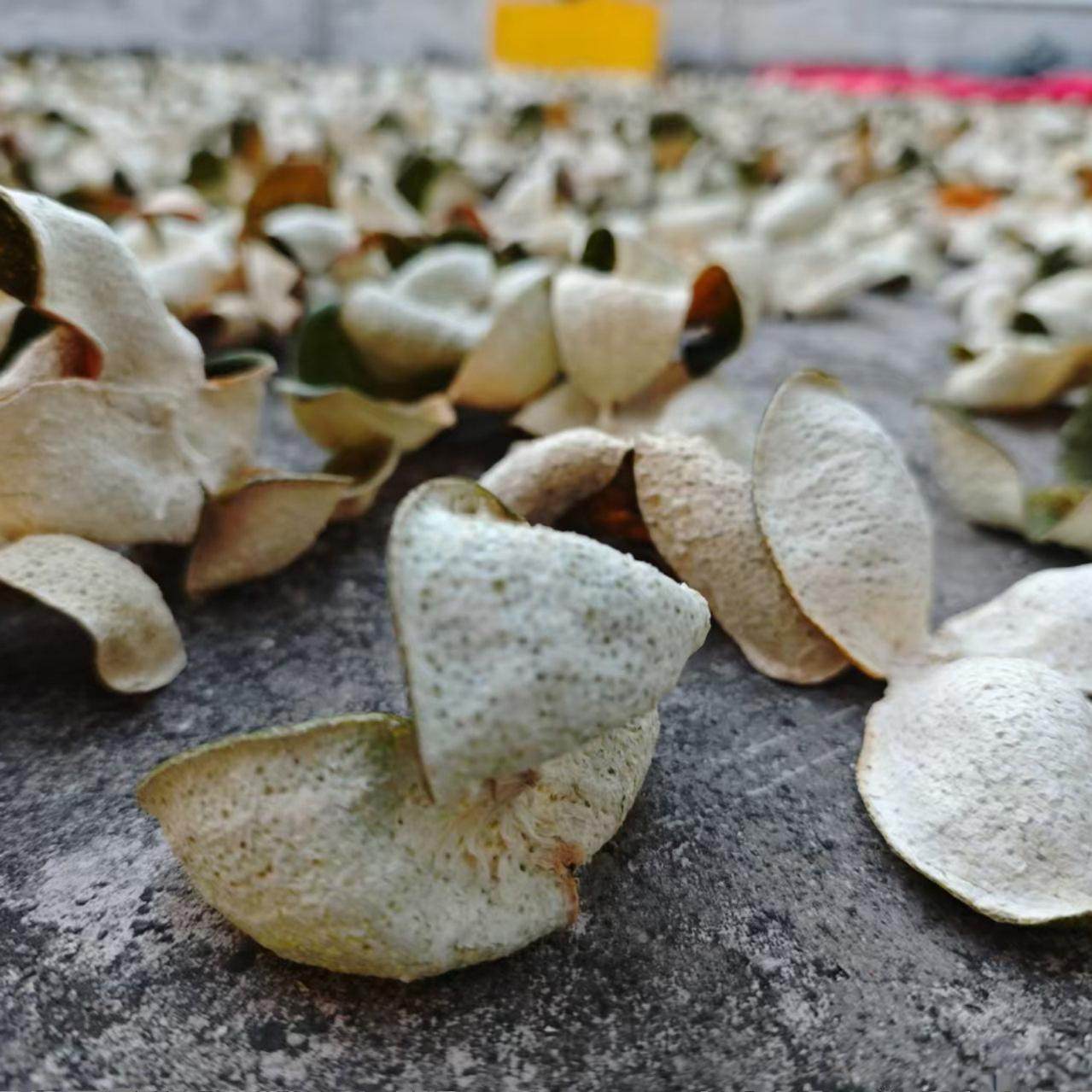 正宗新会陈皮24年原枝大红皮二红皮农户自种自摘自晒自存产地新会,淘宝优惠券,粉丝福利购,淘宝优惠卷