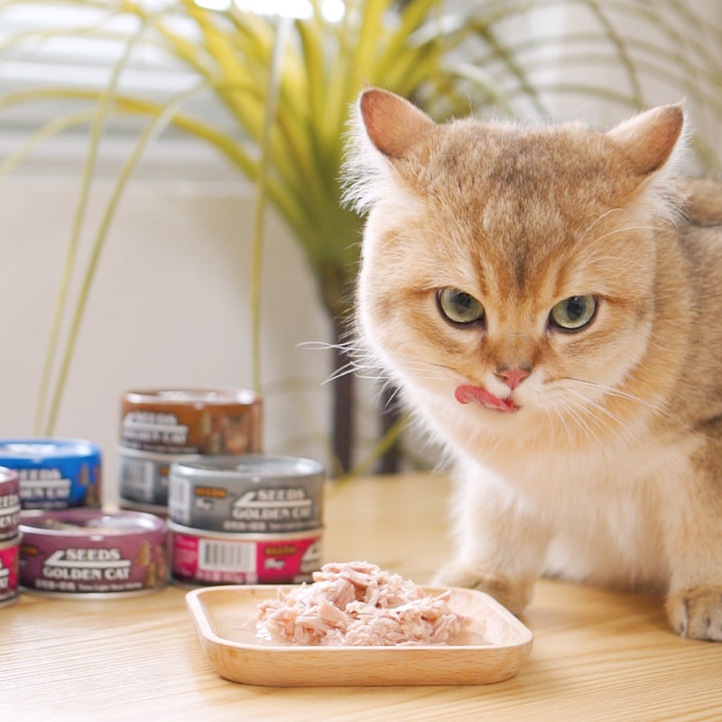 惜时旗舰店泰国进口猫罐头小金汤成猫补水营养猫咪零食24罐 整箱,淘宝优惠券,粉丝福利购,淘宝优惠卷