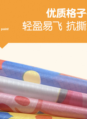 潍坊儿童卡通风筝大号长尾飞碟三角新款微风易飞户外广场
