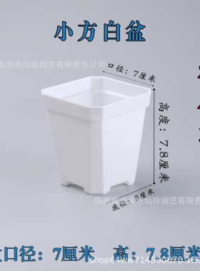 加厚小黑方花盆多肉小方盆塑料增厚盆育苗叶插扦插盆园艺用品