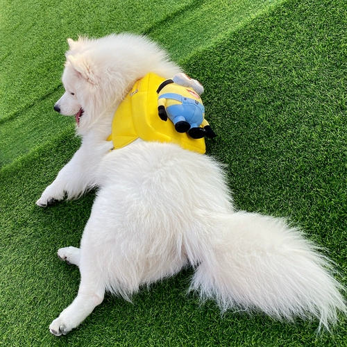 Self -Endbage Net Bet Pet Dog Self -Endbag