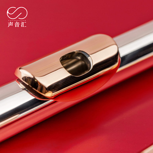 笛赵 DIZHAO DZ-602/802 银头/纯银美系手工长笛专业进阶声音汇 - 图1