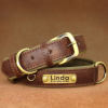 Gold bow tie dog collar with engraving to prevent loss, full dog type