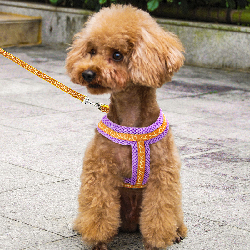 狗狗牵引绳背心式小型犬狗链泰迪柯基幼犬宠物猫咪胸背带遛狗绳子 - 图1