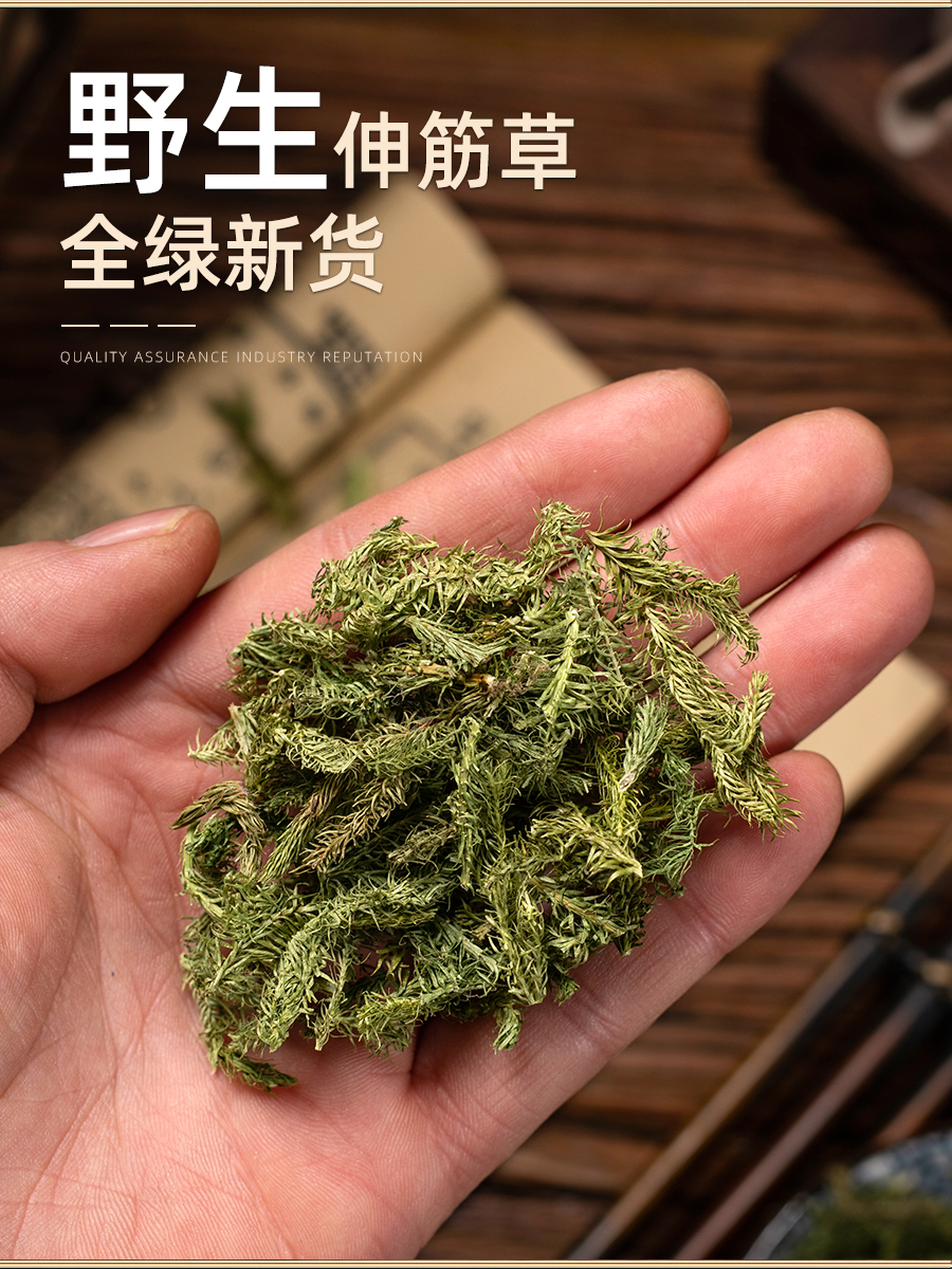 野生伸筋草中药材500克 小舒筋草泡脚药包 另售透骨草远志益智仁 - 图0