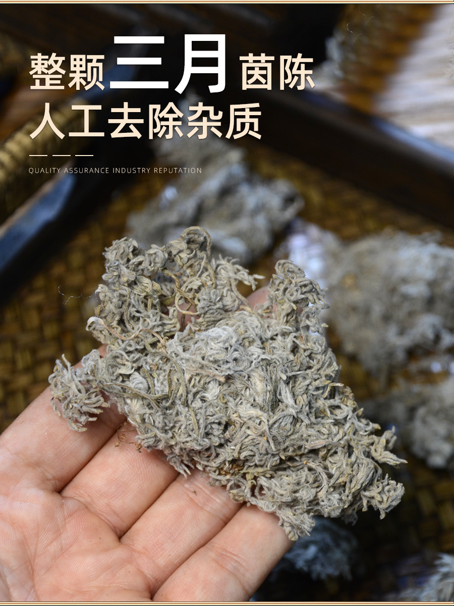 野生茵陈中药材500g克 2024新货茵陈绵茵陈蒿茶三月茵陈草药白蒿 - 图0