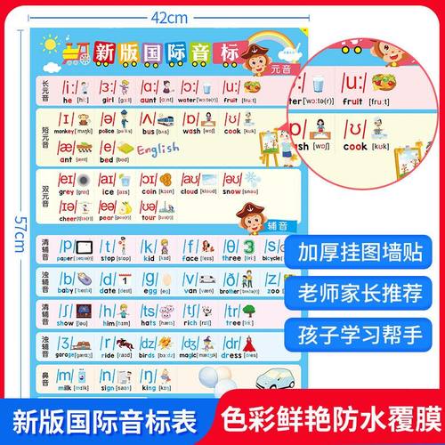 新版英语国际音标挂图表小学48个音标发音墙贴入门教材墙贴 - 图1