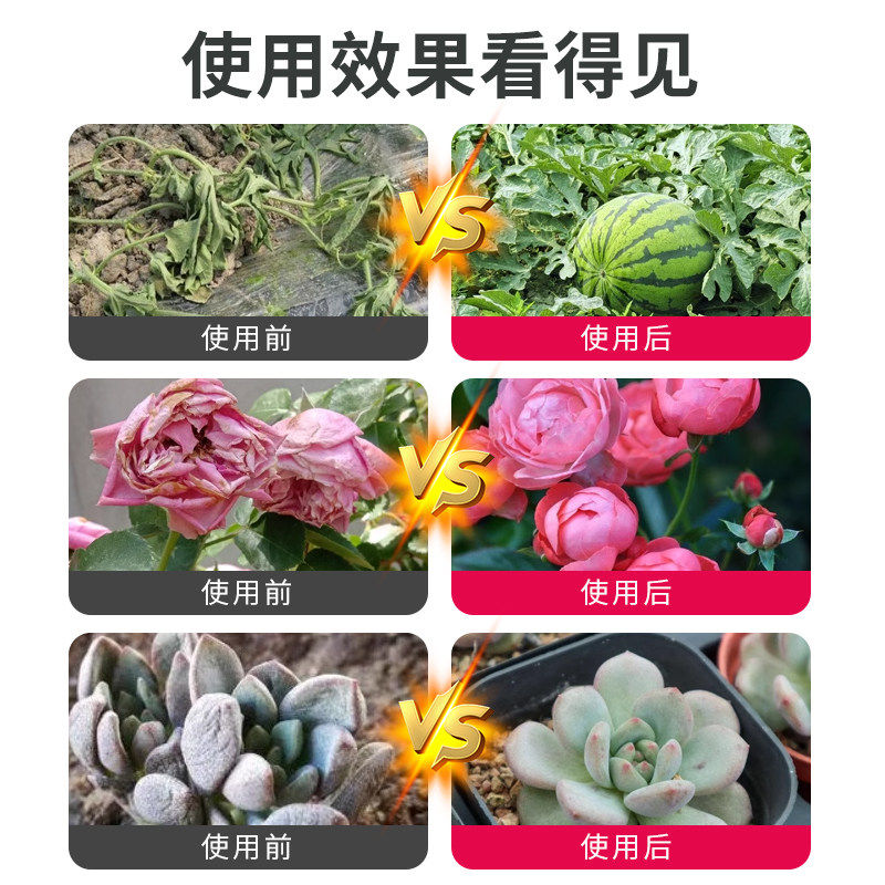 贝可施除氯营养液浓缩型养花浇水免晒水花卉植物绿植除氯浇花,淘宝优惠券,粉丝福利购,淘宝优惠卷