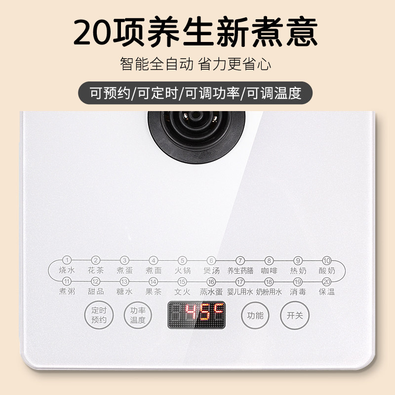  乐浦养生壶/煎药壶