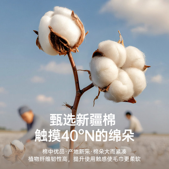 洁丽雅全棉浴巾家用纯棉吸水柔软亲肤大毛巾成人洗澡裹巾情侣面巾