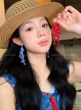 红色水晶流苏轻奢高级感耳环女