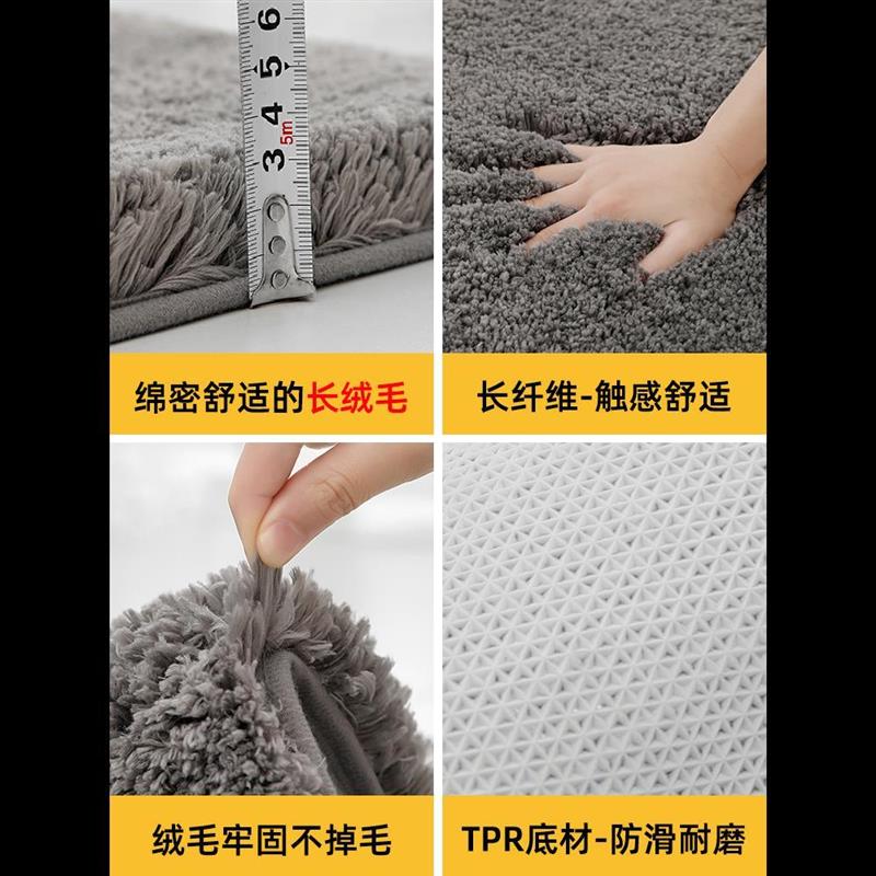 Floor Mat Entrance Doormat Floor Rug Anti-slip Door Mat地垫 - 图0