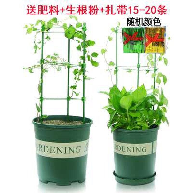 园艺花支架家用爬藤架室内盆栽植物绿萝固定铁环花架月季花支柱