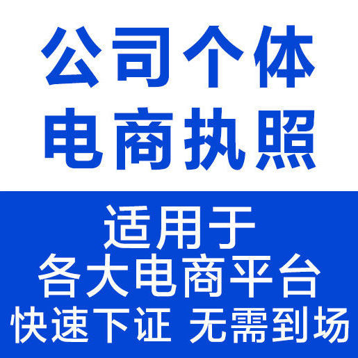 海南海口个体户营业执照代办电商专用代办企业营业执照工商注册