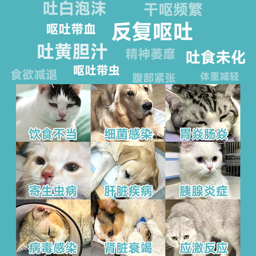 西咪替丁片猫咪治疗狗狗肠胃止吐呕吐的药专用炎症宠物吐黄水西米 - 图0