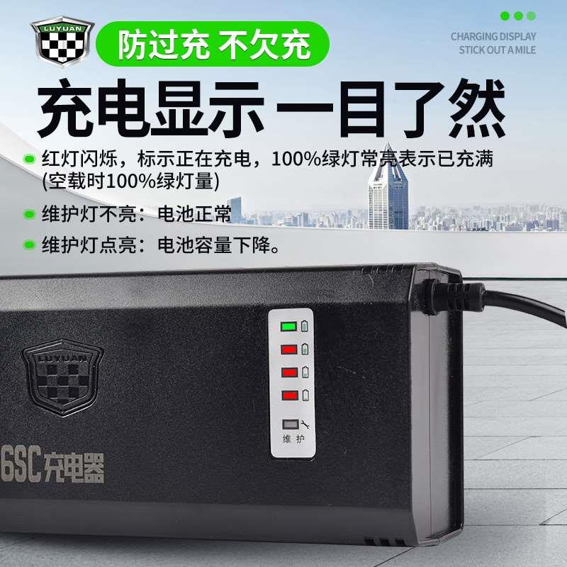 绿源XQE电动车充电H6器原装电瓶车充电器48VV72V12/20A20E30E-T2T - 图1