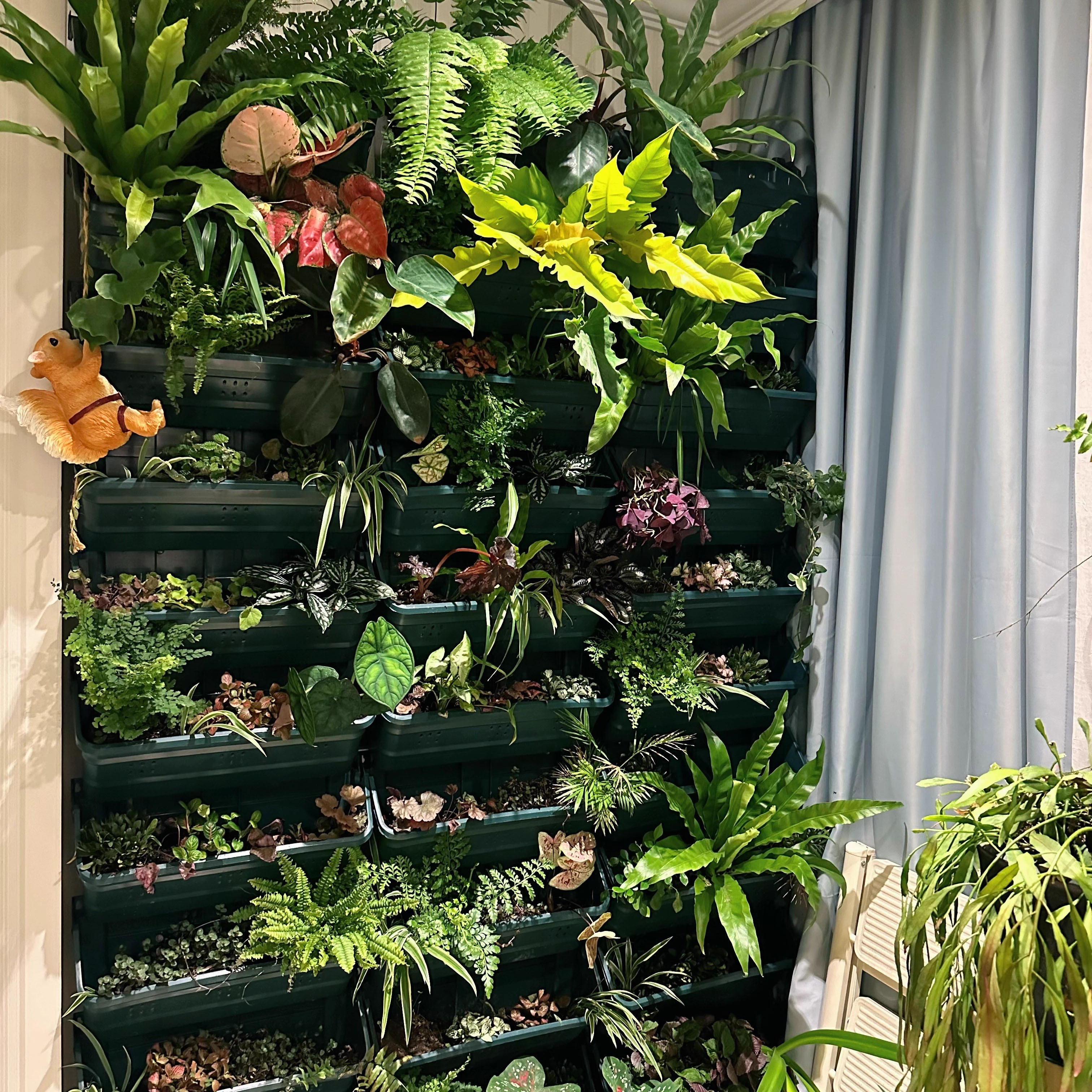 阳台移动植物墙花架户外庭院落地绿植墙花盆架子多层蔬菜种植架 - 图0