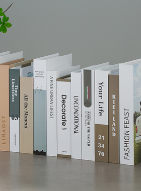 简约现代风样板间拍照道具仿真书