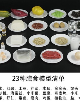 新款营养膳食模型中国居民平衡饮食食物交换份模型仿真膳食金字塔