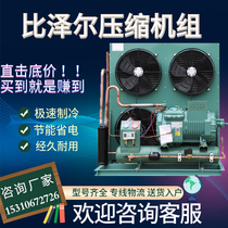 Bizer Cold Bank Refrigeration Unit Complete Equipment High Temperature Semi-Closed Preservation Cryo Home Cryogenic Compression Unit