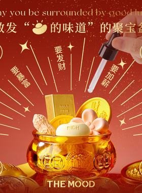 【中秋礼物】未知气味聚宝盆无火香薰礼盒送朋友发财乔迁新居摆件