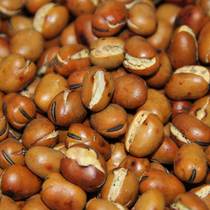 Sericulture Inner Mongolia Stir-fried Hu Bean Handmade Original Flavor Bulk Fried Stock for the Year of the Bean Dried Old Sahu Bean 1 Catty