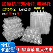 Disposable 10 Eggs Toal Duck Egg Plastic Middle Number Egg Tobox Gift Packaging Box Transparent With Cover Shockproof