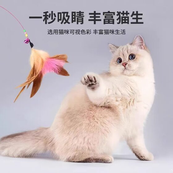 Funny cat stick, cat toy, bell, feather, self-stimulation, relief from boredom, funny cat artifact, bite-resistant steel wire, long pole, automatic pet supplies