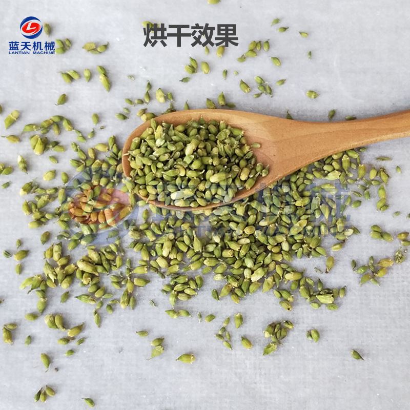 全自动槐米中药材烘干机智能控温白槐柚花烘干箱槐米茶烘干设备-图0