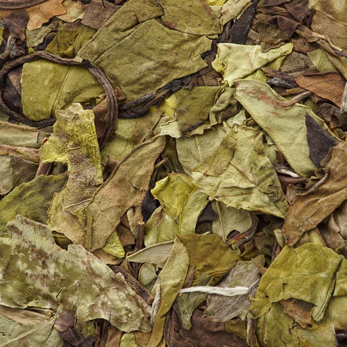 梅相靖大师二朵梅2016年荒野贡眉正宗福鼎老白茶茶叶紧压茶饼300g - 图1