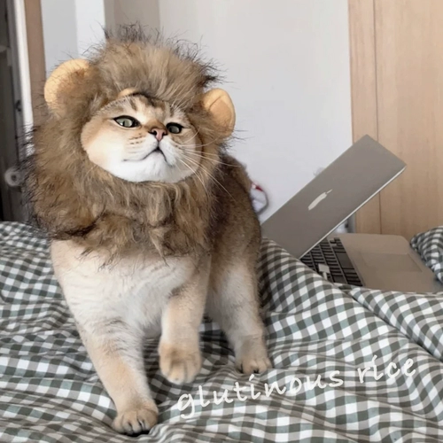 Клейкий рис, шлем, шапка, милый аксессуар для волос