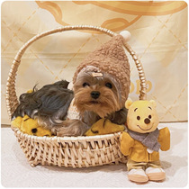 Straight for pet dog dog hat small dog winter warm winter teddy shambolic hat headgear accessories are more cute than Panda