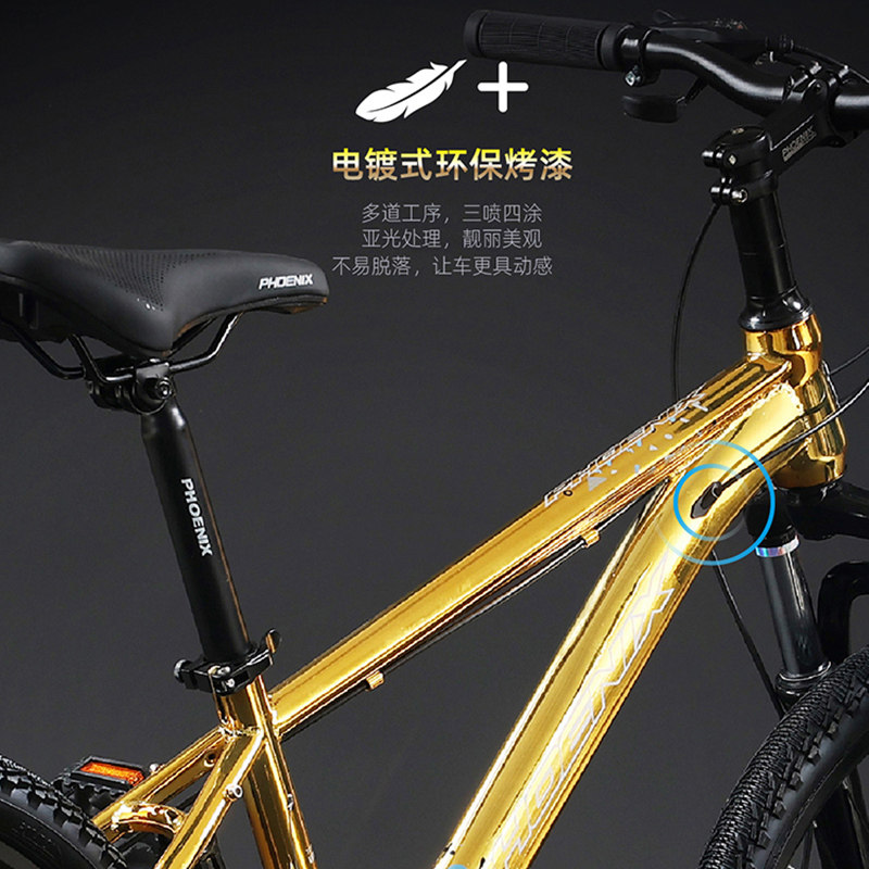 凤凰山地中大童8-12岁20 /自行车 phoenix凤凰林宇儿童自行车